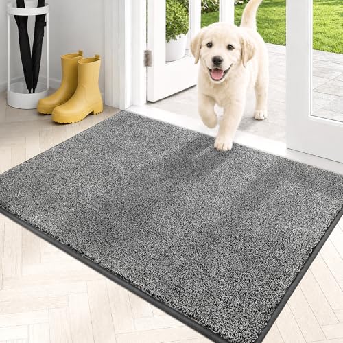Dirt Trapping Indoor Door Mat