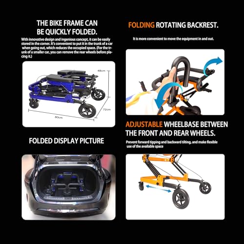 Rehabilitation Walker with Stand