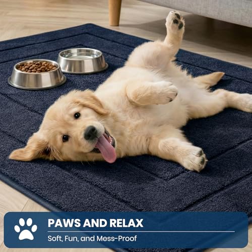 Kitchen Runner Rug (15.5 Sq Ft)