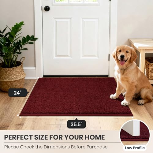 Dirt Trapping Indoor Door Mat