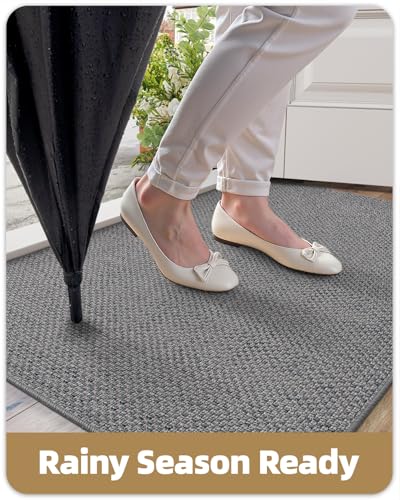 Ultra Thin Indoor Door Mat (4.9514 Sq Ft)