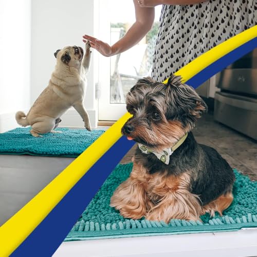 Super Water Absorbent Door Mat Indoor