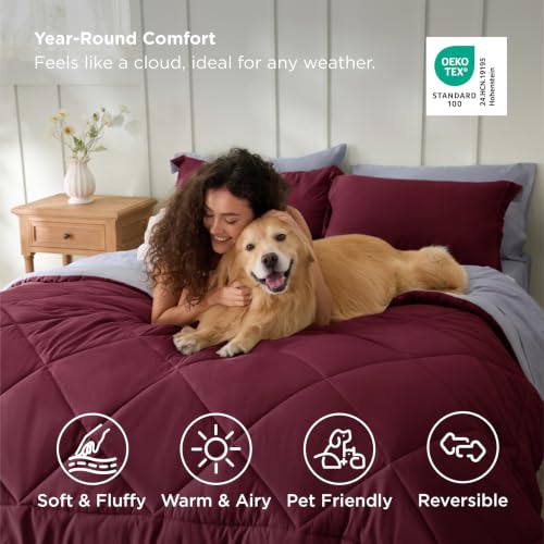 King Size Comforter Set