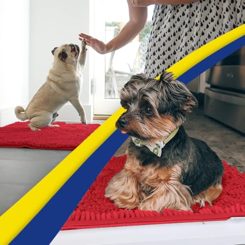 Super Water Absorbent Door Mat Indoor