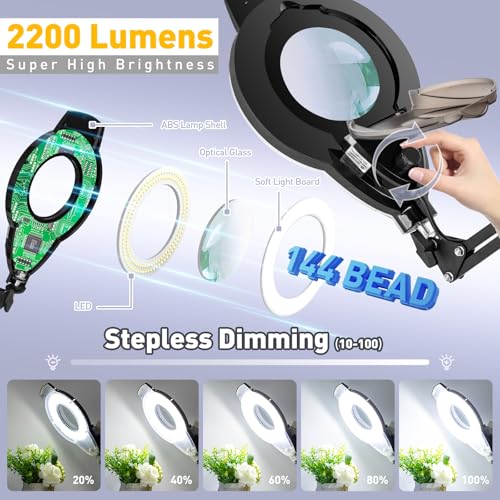 2200 Lumens Mag Lamp for Estheticians (89.99 Count)