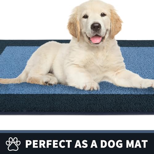 Dirt Trapping Indoor Door Mat