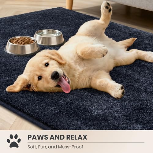 Dirt Trapping Indoor Door Mat