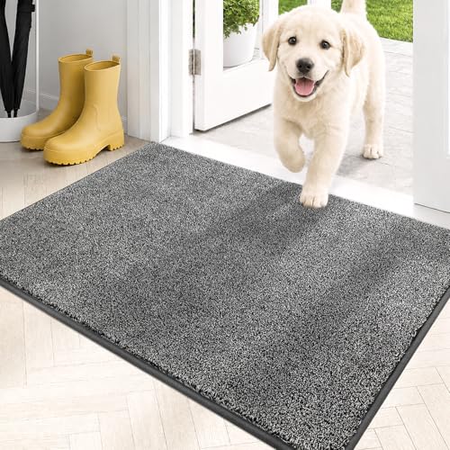 Dirt Trapping Indoor Door Mat