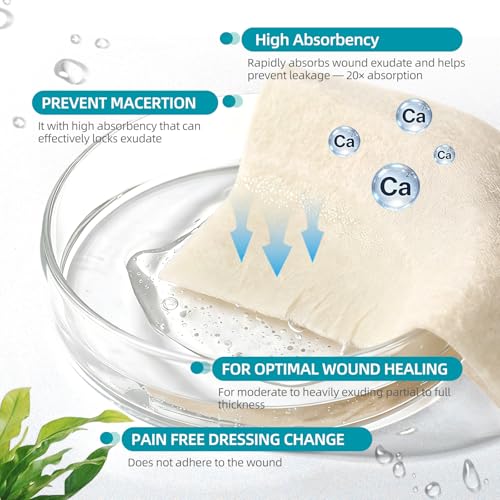 Calcium Alginate Wound Dressing (10 Count)