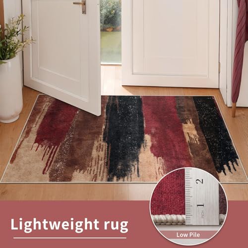 Washable Area Rug 2x3 Entryway Rug
