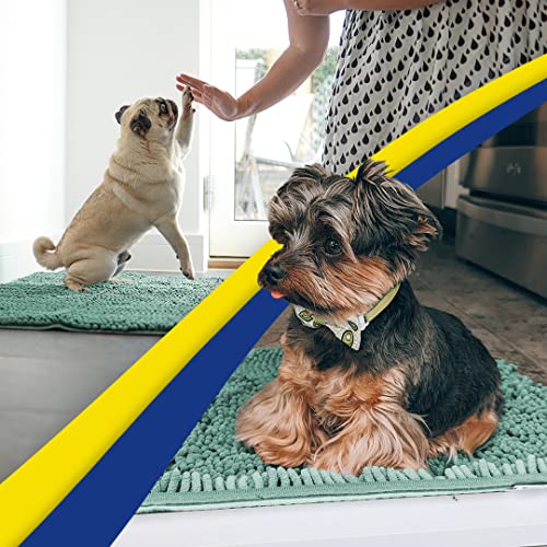 Super Absorbent Door Mat Indoor
