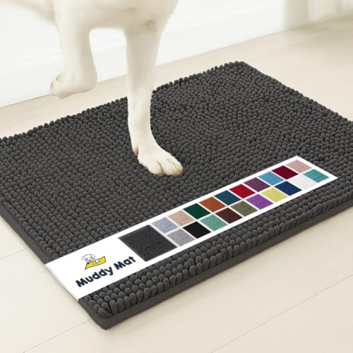 Super Water Absorbent Door Mat Indoor