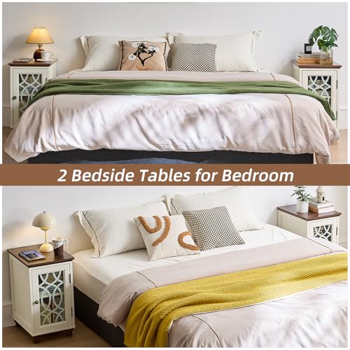 Narrow Side Table Set 2 with Glass Door Storage (2 Count)