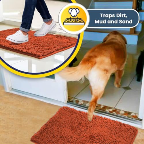Super Water Absorbent Door Mat Indoor (10 Sq Ft)