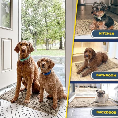 Super Water Absorbent Door Mat Indoor (24 Sq Ft)
