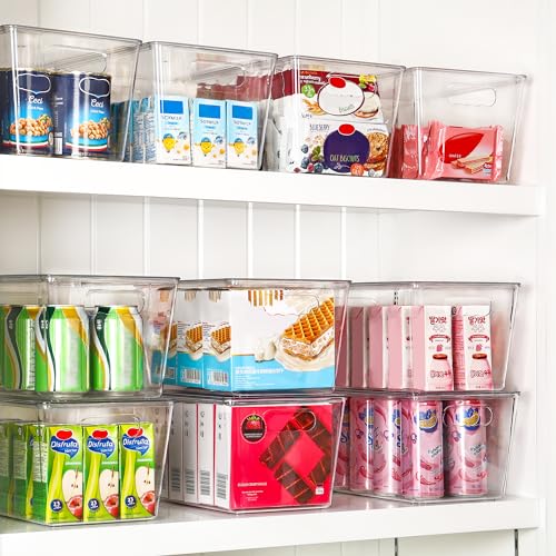 10 Pack Clear Stackable Storage Bins with Lids and Handles (10 Count)