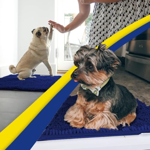 Super Water Absorbent Door Mat Indoor
