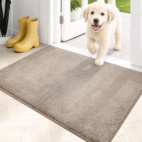 Dirt Trapping Indoor Door Mat