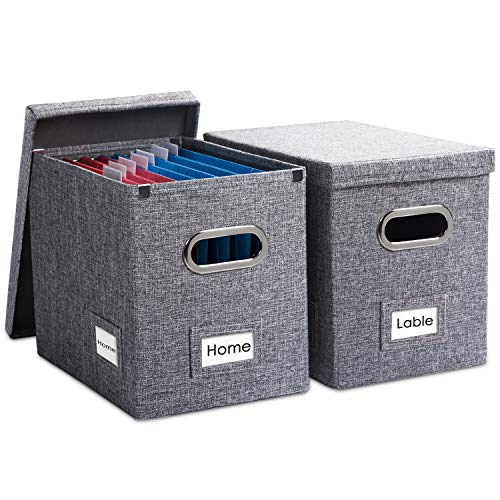 File Organizer Box (2 Count)