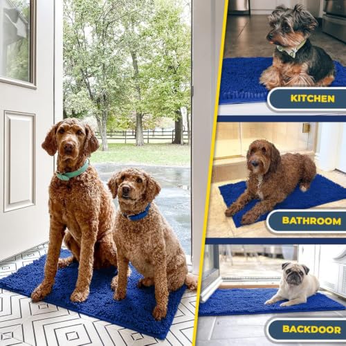 Super Water Absorbent Door Mat Indoor (12 Sq Ft)