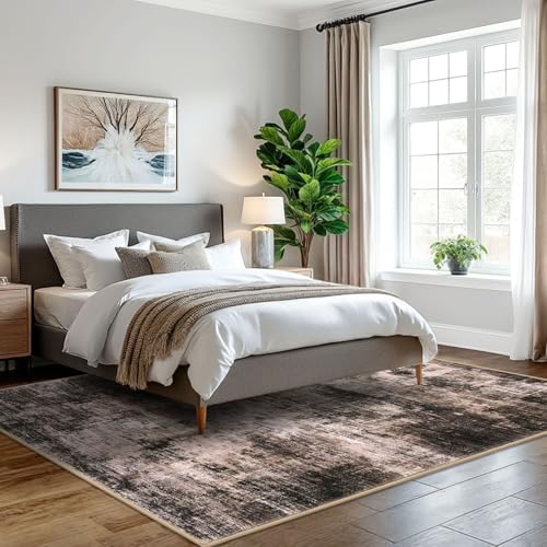 Abstract Area Rugs 5x7 Ft Washable Rugs for Living Room (35 Sq Ft)