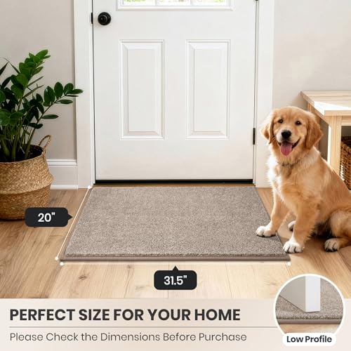 Dirt Trapping Indoor Door Mat