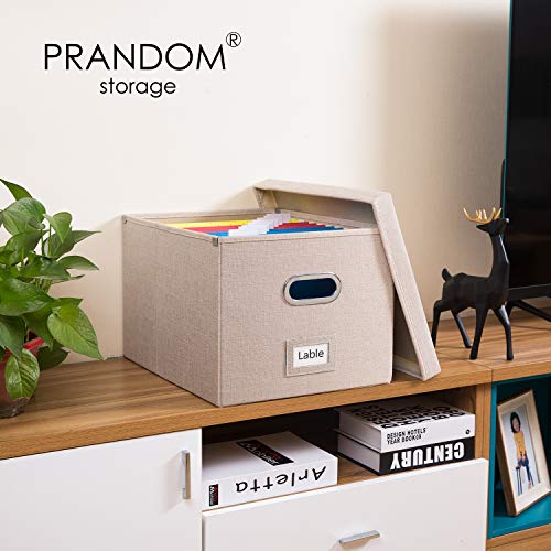 File Organizer Box