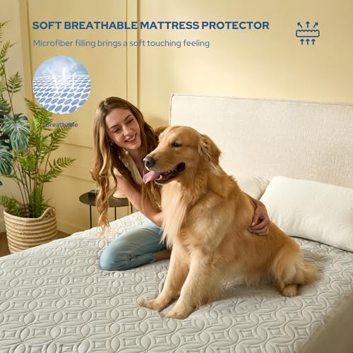 2 Pack Waterproof Mattress Protector Full Size (2 Count)