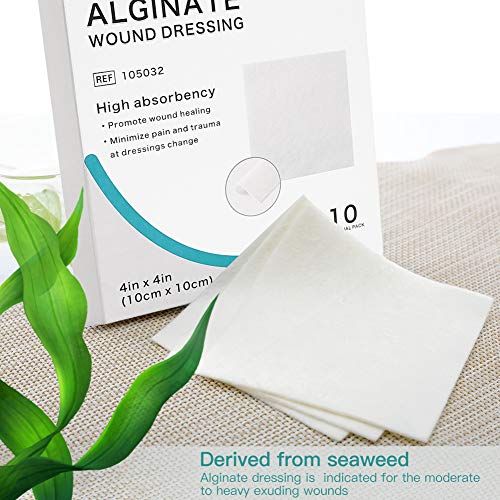 Calcium Alginate Wound Dressing (10 Count)