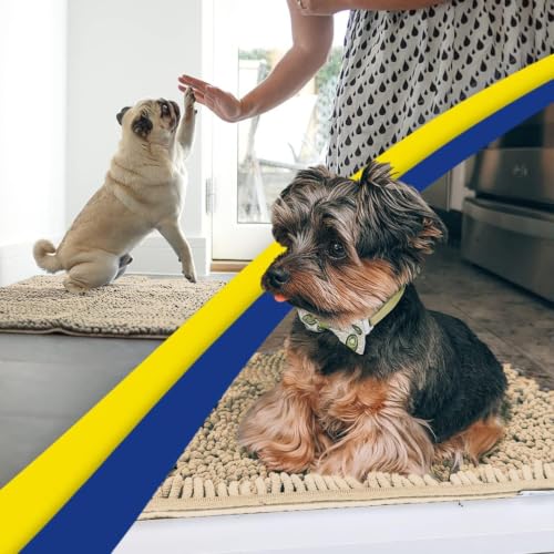Super Water Absorbent Door Mat Indoor (24 Sq Ft)