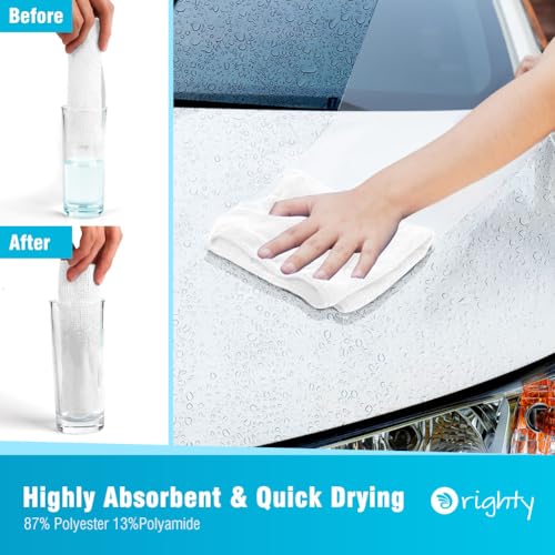 Microfiber Cleaning Cloth (12 Count)