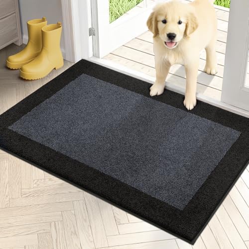 Dirt Trapping Indoor Door Mat