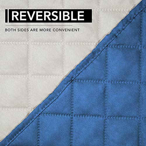 Reversible Couch Cover