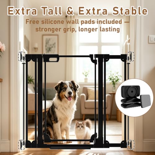 40" Extra Tall Clear Acrylic Dog Gate 57.87