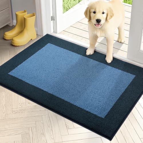 Dirt Trapping Indoor Door Mat