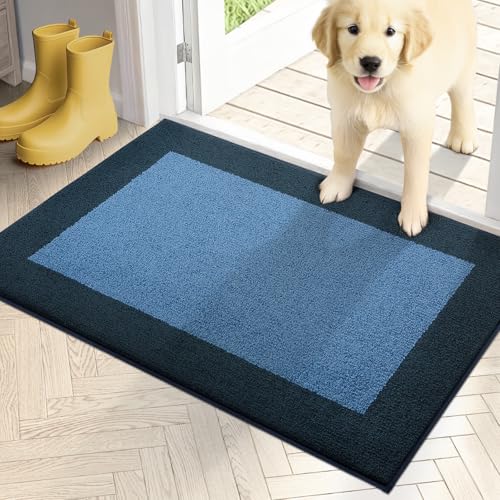 Dirt Trapping Indoor Door Mat