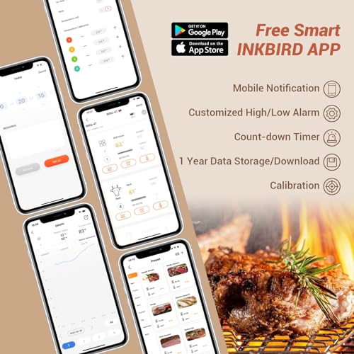 WiFi Meat Thermometer IBBQ