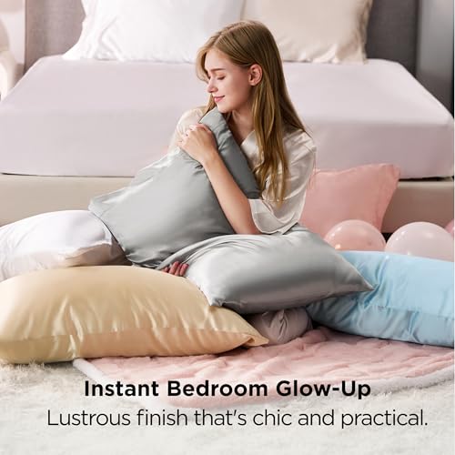 Satin Pillowcases King Set of 2 (2 Count)