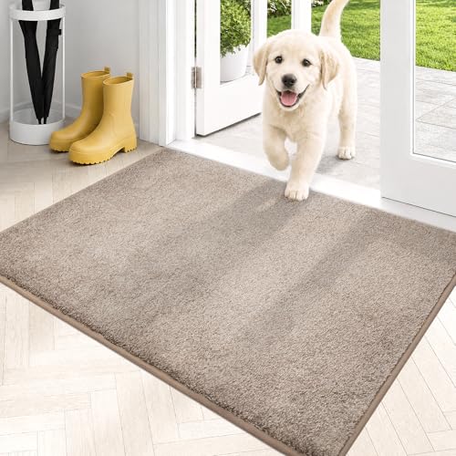 Dirt Trapping Indoor Door Mat