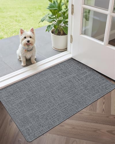 Ultra Thin Indoor Door Mat Entrance (2016 sq inches)