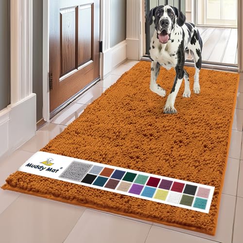 Super Water Absorbent Door Mat Indoor