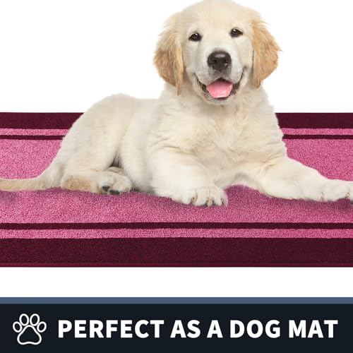 Dirt Trapping Indoor Door Mat