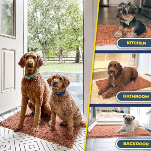 Super Water Absorbent Door Mat Indoor (18 Sq Ft)