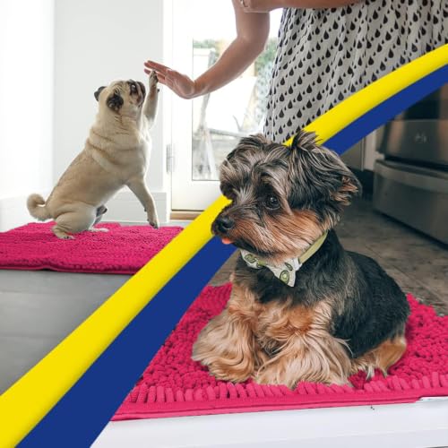 Super Water Absorbent Door Mat Indoor (10 Sq Ft)