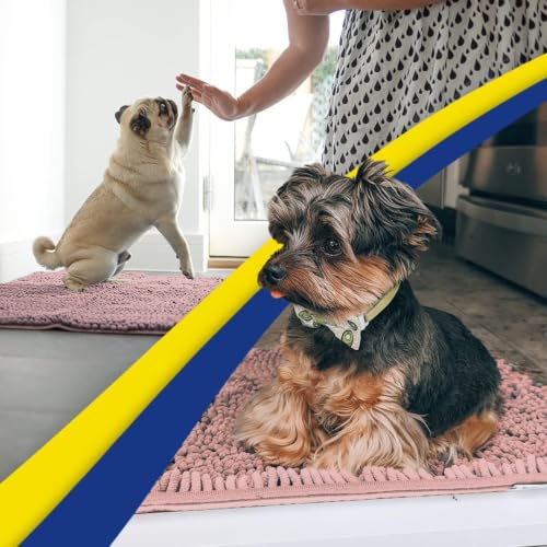 Super Water Absorbent Door Mat Indoor (10 Sq Ft)