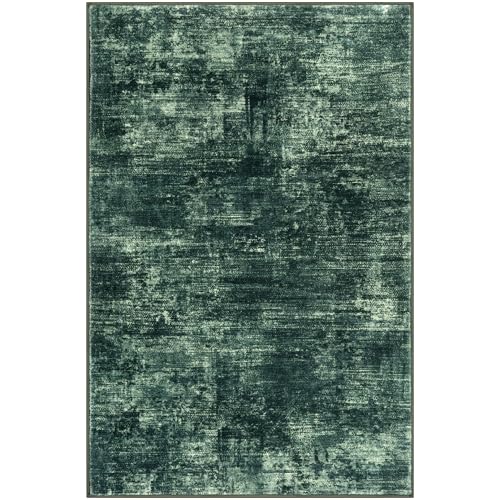 Abstract Area Rug 4x6 Ft Washable Rugs for Entryway Indoor