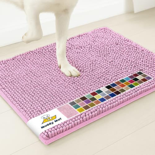Super Water Absorbent Door Mat Indoor