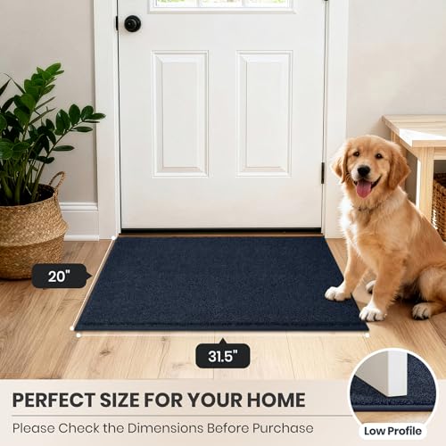 Dirt Trapping Indoor Door Mat