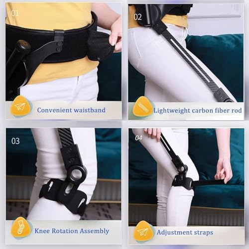 Bionic Walking Aid