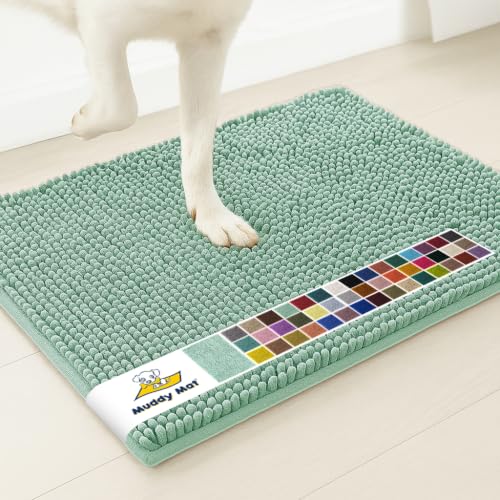 Super Water Absorbent Door Mat Indoor